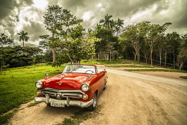 oldtimer in de natuur