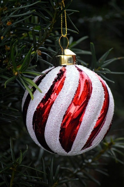 kerstbal in kersboom